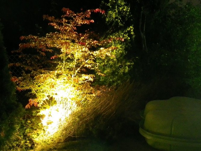 Ott Gartenbau AG - Beleuchtung