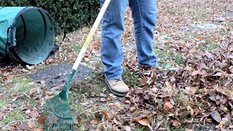 Laub wischen im Herbst