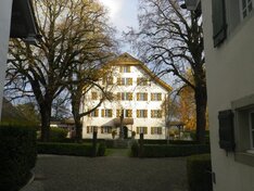 Garten- Rasenunterhalt, Pflege