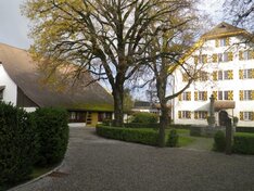 Garten- Rasenunterhalt, Pflege