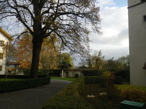 Garten- Rasenunterhalt, Pflege