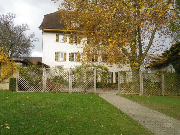 Garten- Rasenunterhalt, Pflege