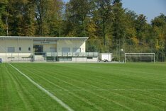 Garten- Rasenunterhalt, Pflege, Sportplatz
