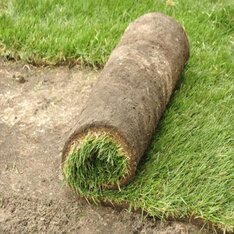 Garten- Rasenunterhalt, Pflege