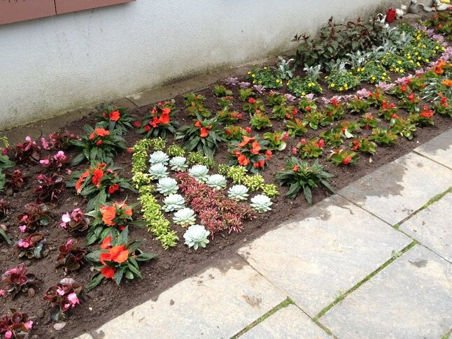 Urnenwand Herbstbepflanzung